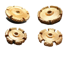 PLATE AND CIRCULAR RASPS